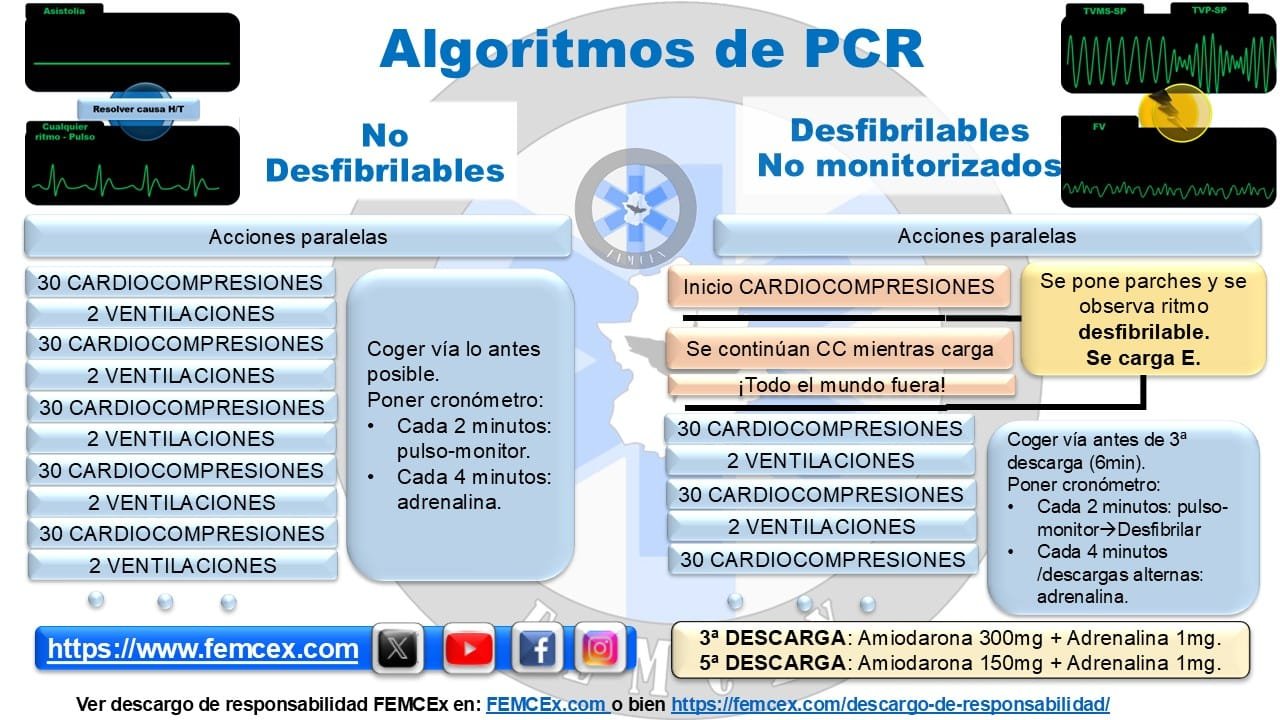 Algoritmos de PCR