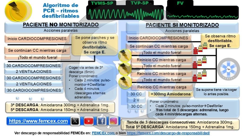 Algoritmos PCR p2 Algoritmos PCR p2
