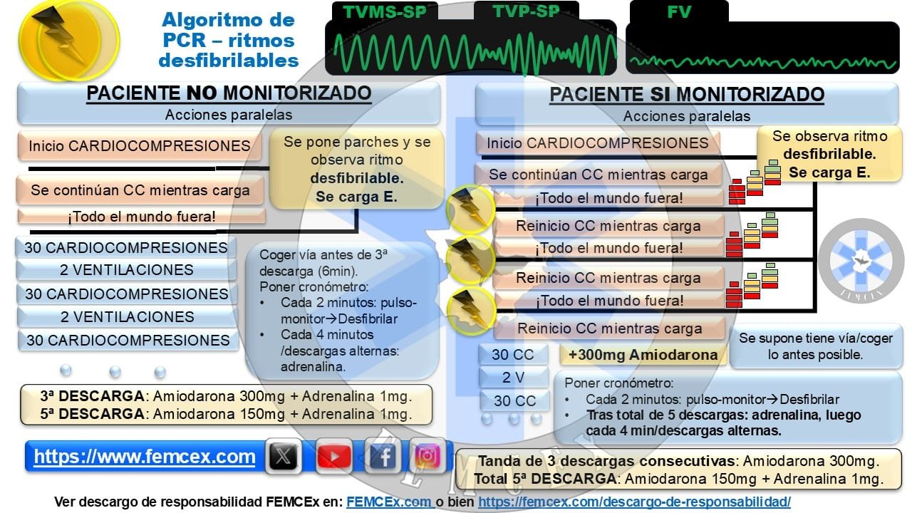 Algoritmos de PCR. p2