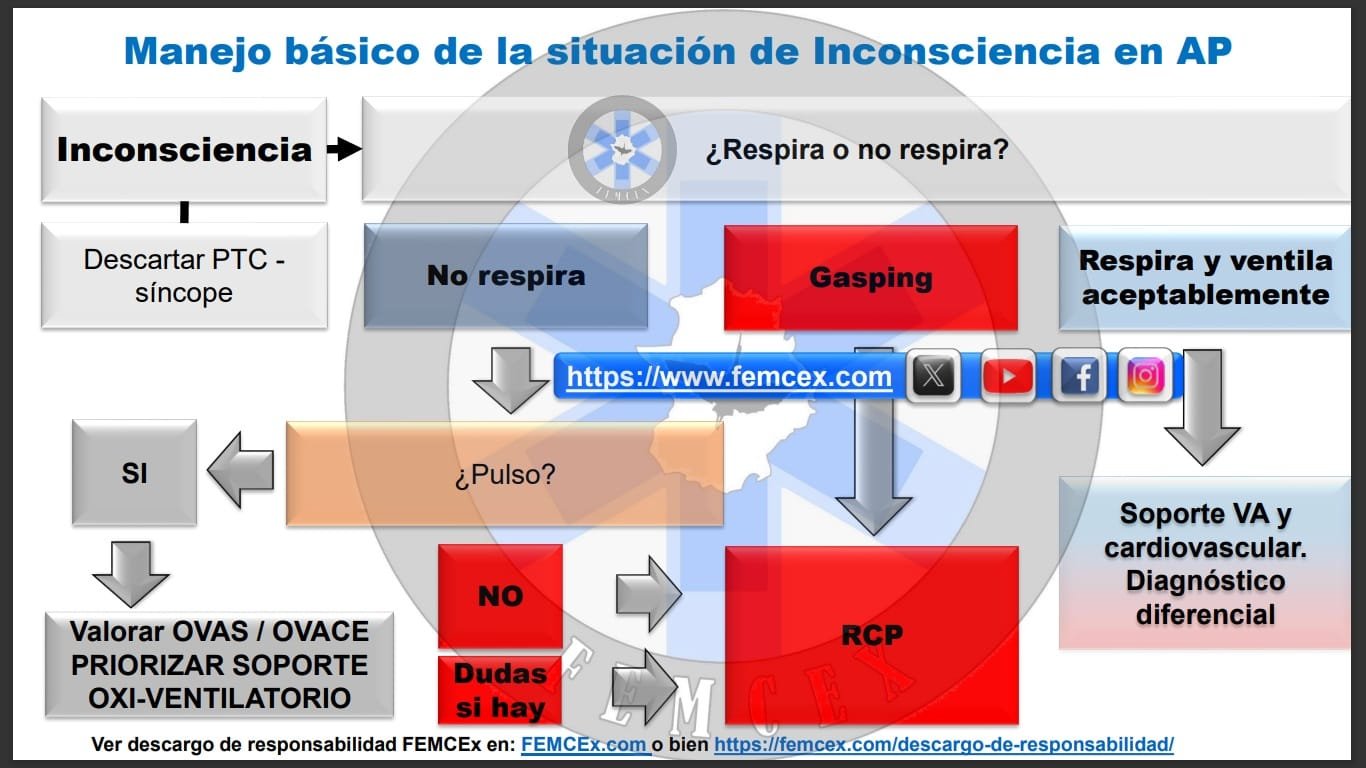 Inconsciencia. Básica