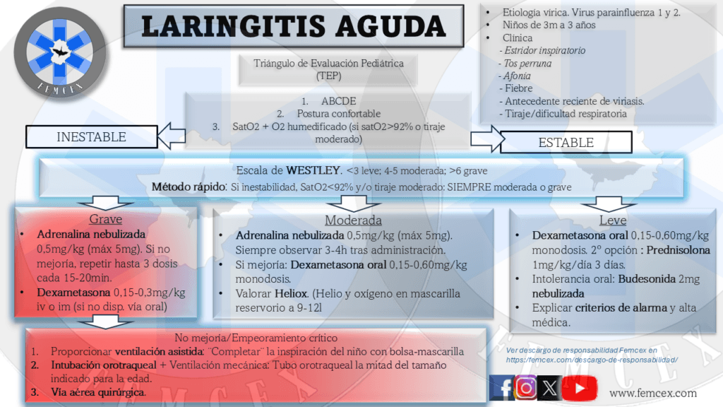 laringitis aguda
