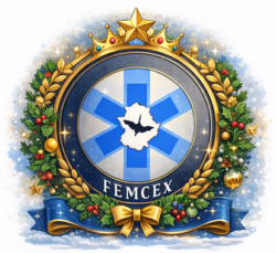 FEMCEX REYES MAGOS ACCESO